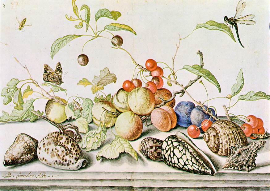 AST, Balthasar van der Still-life ggg